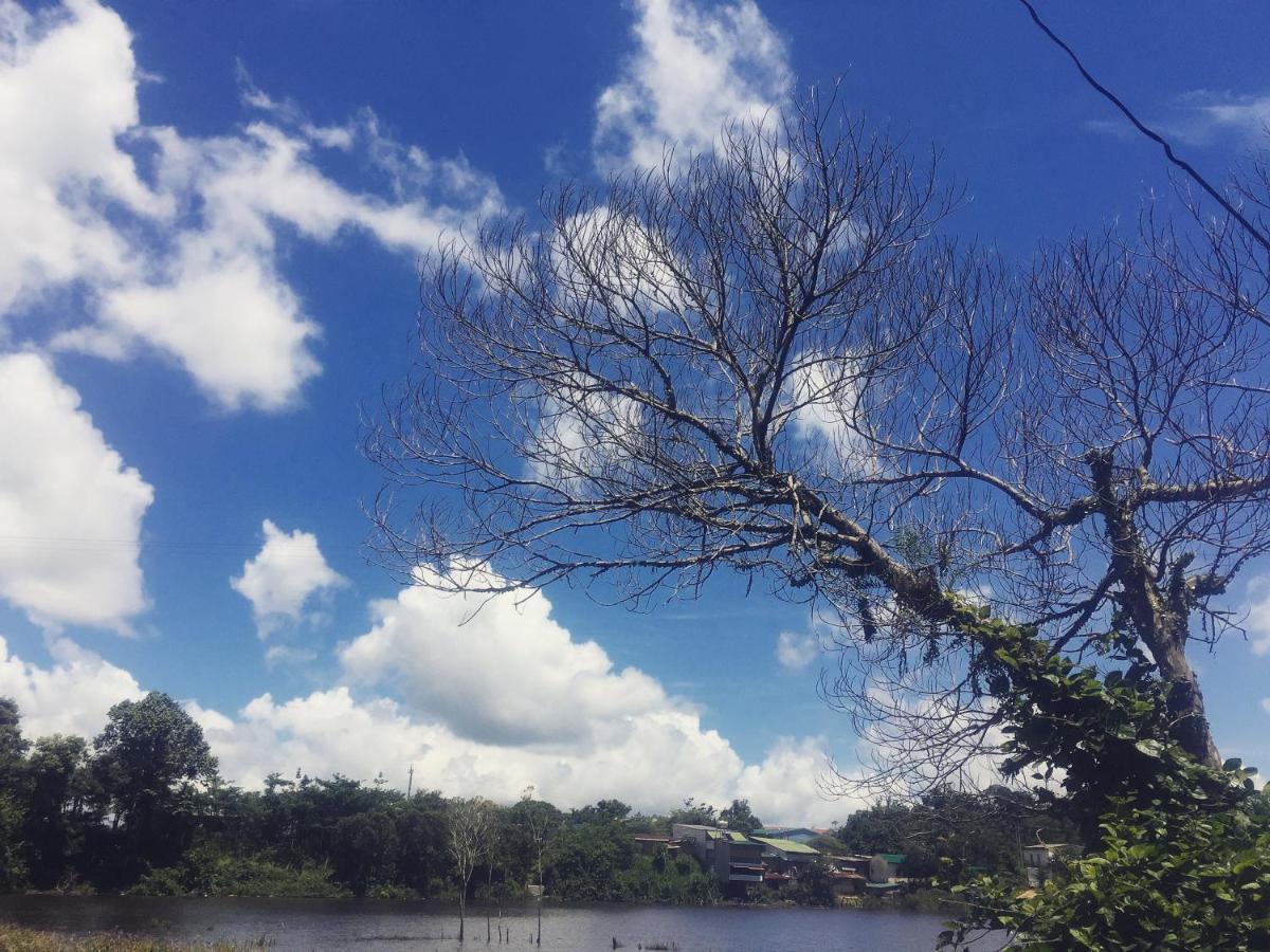 Homestay Bien Rung Gia Nghĩa Buitenkant foto